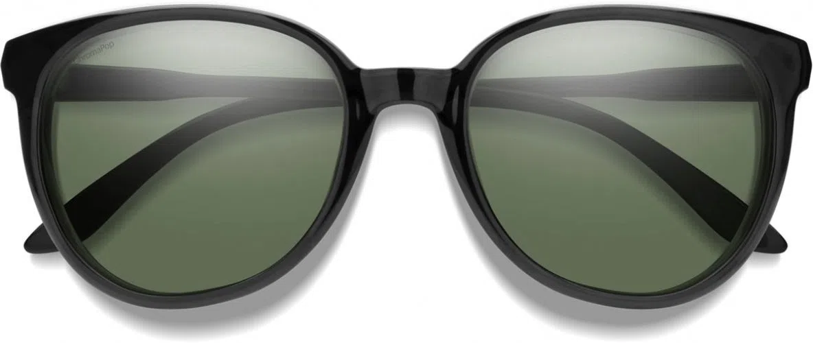 Smith Optics Archive 216801 Cheetah Sunglasses - view 50